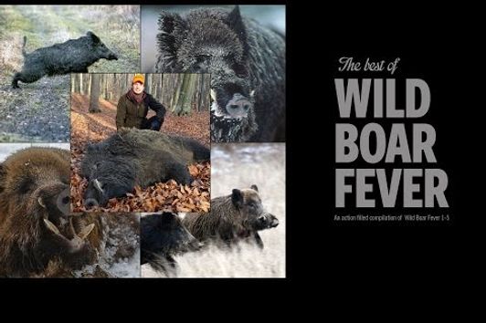 The Best of Wild Boar Fever trailer 2 - Hunters Video