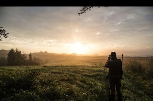 Roebuck hunting in Poland 2016