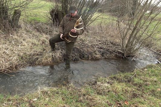 Jagd und Revier im Frühjahr