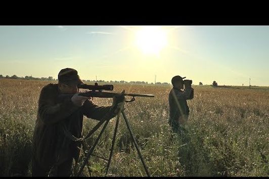 Erstklassige Bockjagd zur Blattzeit in Masuren - Ermland - First class roe deer hunt at rut season!