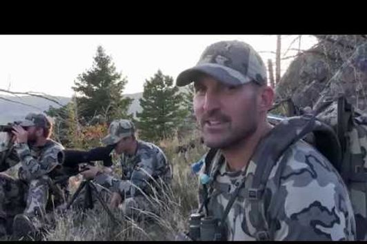 Elk Bow Hunting Video - Montana Climbing Arrow 2014