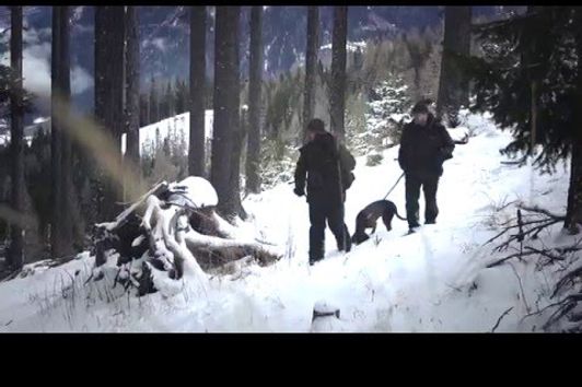Carinthia Hunting & Wilderness Image Video