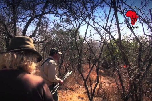 Jagen und Urlaub in Südafrika mit Mark Dedekind Safaris.