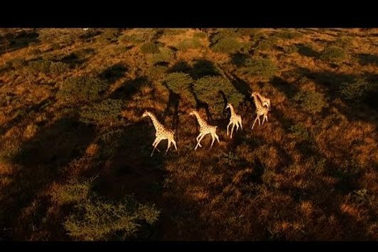 Abenteuer Namibia