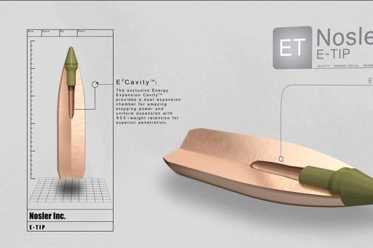 Nosler E-Tip Hunting Bullet