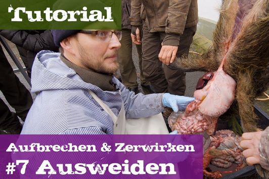 #7 Ausweiden - Lehrgang Aufbrechen & Zerwirken