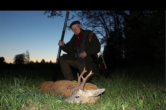 Pirsch auf einen reifen Rehbock / stalk for a mature roebuck