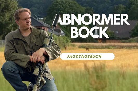 Abnormer Bock - Jagd in der Heide - Jägerbiwak