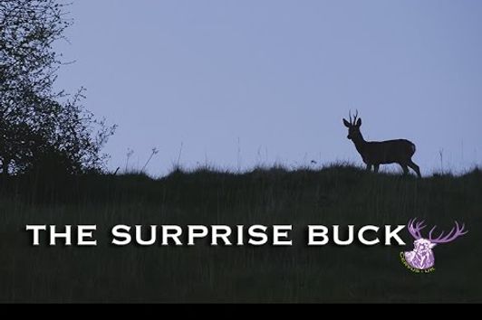 THE SURPRISE BUCK!