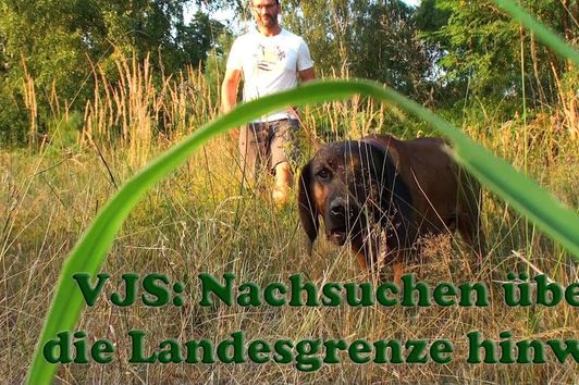 VJS Nachsuchen über die Landesgrenze