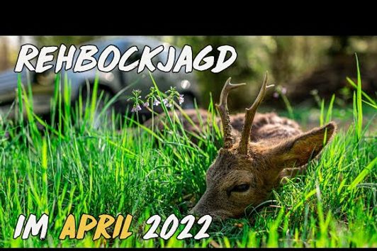 Geartester - Rehbockjagd im April 2022