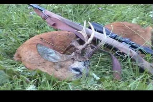 Best of Roebuck Hunting