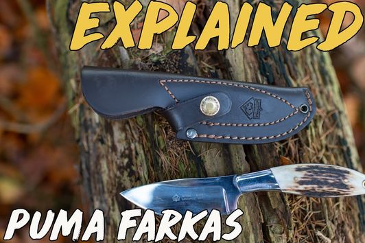 Explained - Puma Farkas