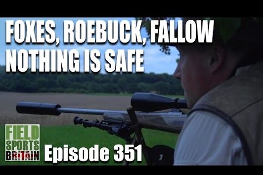 Fieldsports Britain - Foxes, Roebuck, Fallow, nothing is safe