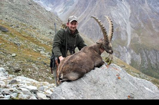 Steinbockjagd im Wallis