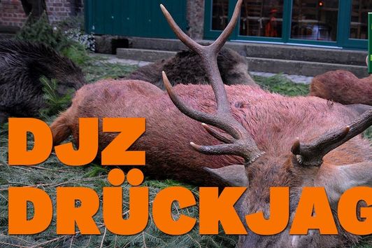 1. Testjagd im neuen DJZ Testrevier