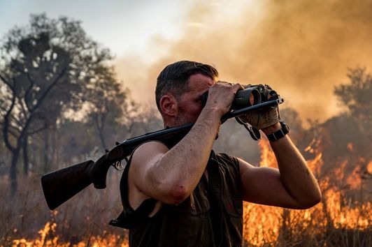 Hunting West Africa's Savanna Buffalos