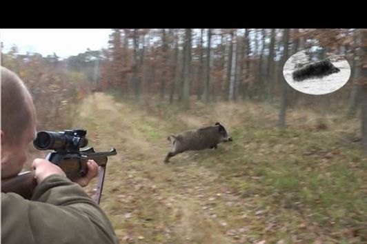 Best moments - November 2016 - driven hunt compilation - Drückjagd Beste Momente Chasse en battue