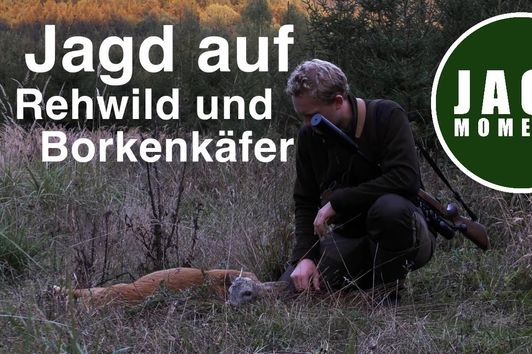 JagdMomente | Folge 9 | Jagd auf Rehwild, Borkenkäfer & Rotwild im Spätsommer