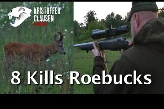 Kristoffer Clausen hunting roebucks 8 kills. Bukkejakt 8 fellinger