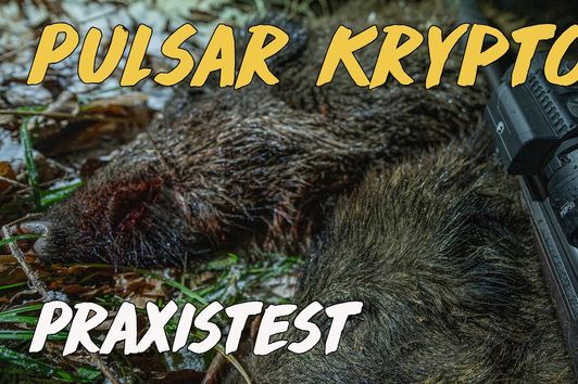 Pulsar Krypton FXG 50 Praxistest