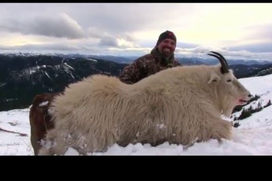 British Columbia Mountain Goat Hunts / Jagd auf Schneeziege / Jakt på Snöget