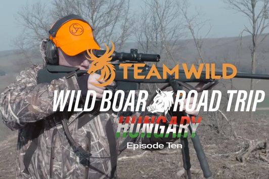 Wild Boar Hunting: Driven Boar Hunting and Traditions in Hungary with Ian Harford