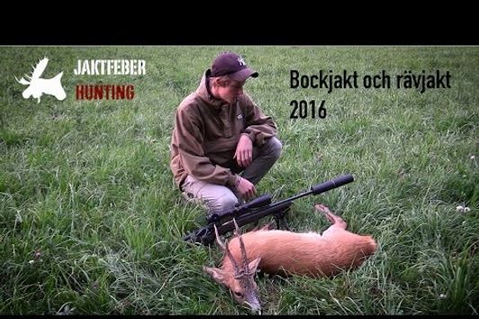 JAKTFEBER Bockjakt & Rävjakt 2016