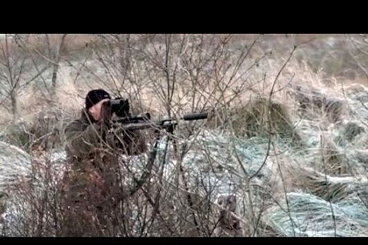 The Shooting Show - frosty roe stalking with Chris Dalton