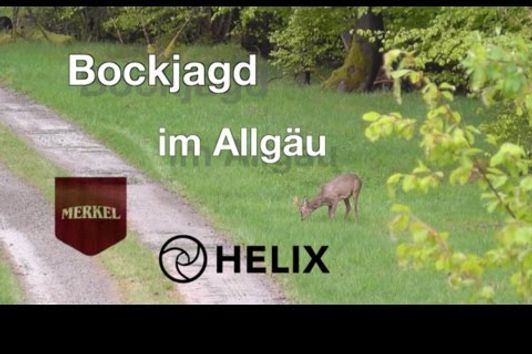 Bockjagd im Allgäu - Stalking roebucks in Bavaria