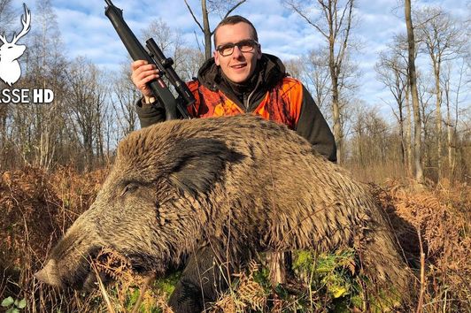 Battue de Sangliers, un Gros Mâle et des Compagnies ! Chasse HD