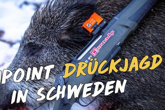 Drückjagd  in Schweden