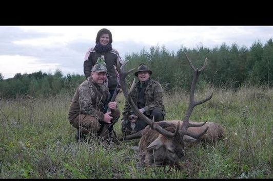 Starker alter Zwölfer liegt auf der Strecke - Jagd zur Hirschbrunft in Polen / Masuren