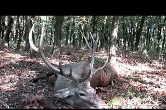 Hunting seasons in Hungary