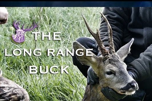 THE LONG RANGE BUCK