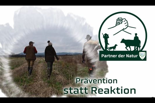 Prävention statt Reaktion: "Partner der Natur" auf den Spuren der Neozoen in einem Niederwildrevier