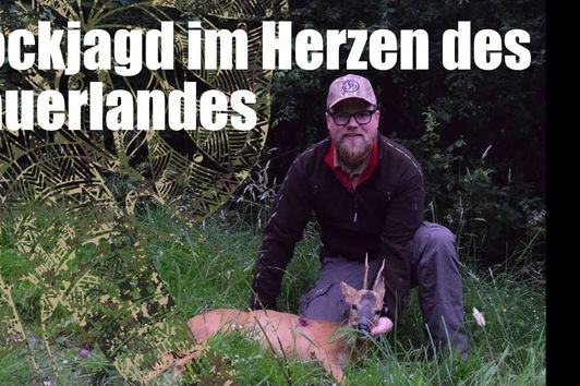 Bockjagd im Herzen des Sauerlandes