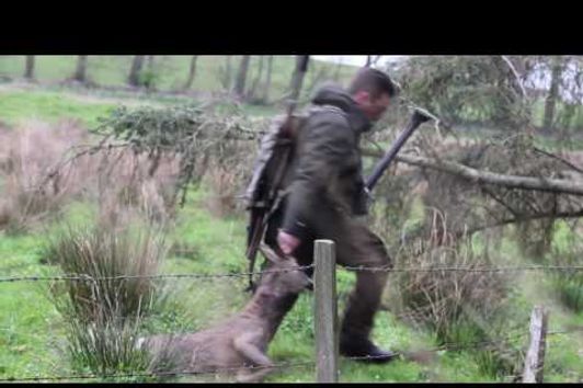 Scultz&Larsen 30-06, Roe Buck Stalking