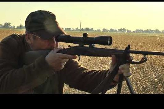 Fantastische Blattjagd in Masuren - 2 Rehböcke werden gestreckt! Fantastic roe buck hunt in the rut!