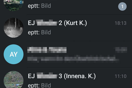 Wildkamera Fotos in Telegram fast kostenlos