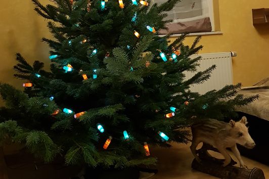 Deko oder Weihnachtsbaumbeleuchtung aus Schrotpatronen
