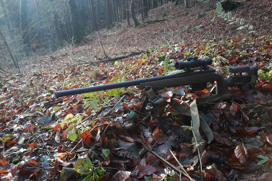 BERGARA B14 HMR