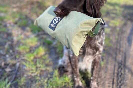 Erfahrungen mit dem Farm-Land Outdoor Hundedecke