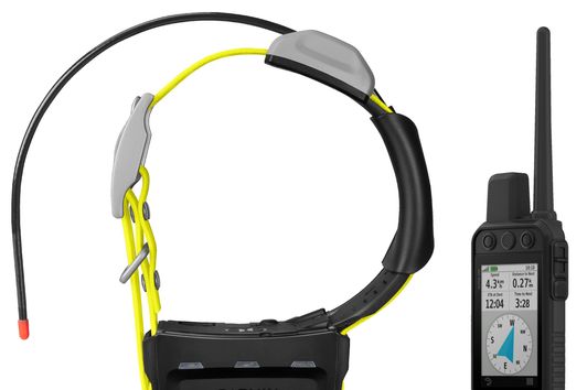 Garmin Alpha 200 i  mit Halsband K5