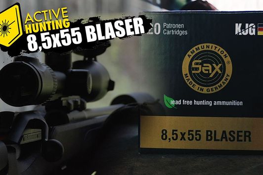 Magnum-Leistung aus kurzen Läufen: Der Test des Kalibers 8,5×55 Blaser mit dem Magneto Speed