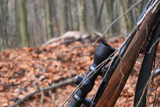 Das Steiner Ranger 2-8x42 - Allrounder-Zielfernrohr nicht nur für die Drückjagdsaison