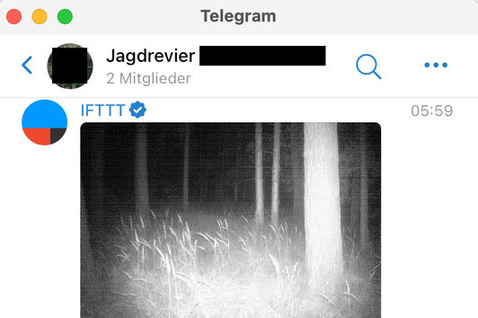 Wildkamerabilder dauerhaft kostenfrei in Telegram erhalten