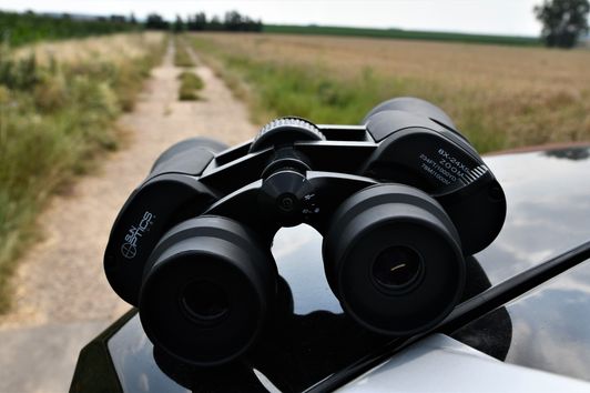 Alltagsglas für die Revierrunde - das Sun Optics 8-24x50