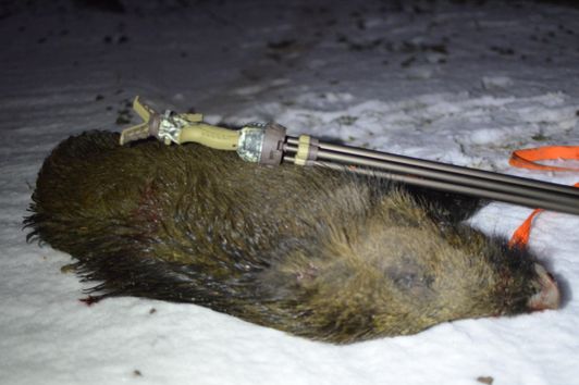 Waldkauz Jagdscheinetui aus Leder - Geartester