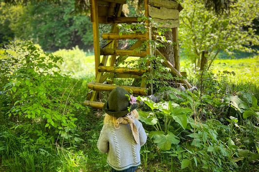 Was wächst denn da in Wald und Flur? – Kostenlose Pflanzenbestimmung mit dem Smartphone ohne zusätzliche App